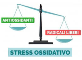 Stress Ossidativo